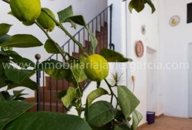 Foto 20