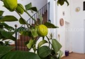 Edifici
en venda
amb 246m² a Villafranca de los Barros foto