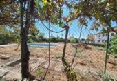 945m² building for sale in Umbrete, photo