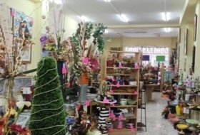 Foto 13