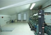 560m² warehouse industrial for rent in Seville photo
