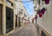 787m² restaurant for sale in Estepona photo