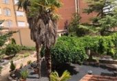 Edificio en venta con 309m² en Zamora, Calle Carpilleros foto