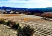 Nave Industrial en venta con 1300m² en Vélez-Rubio foto