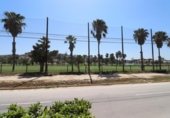 Restaurante en venta con 155m² en Rojales, Calle Minerva foto
