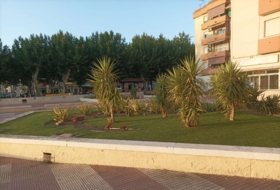 Foto 6