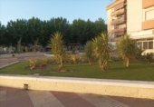 Bar en venta con 90m² en Vélez-Málaga foto