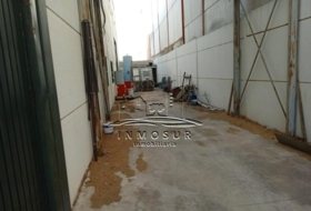 Foto 15