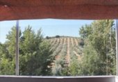 1500m² restaurant for sale in Rute, Calle Olivillos photo