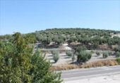 1500m² restaurant for sale in Rute, Calle Olivillos photo