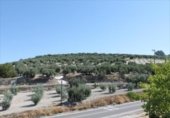 1500m² restaurant for sale in Rute, Calle Olivillos photo