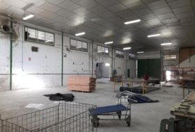 Foto 14