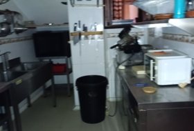Foto 8