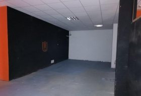 Foto 11
