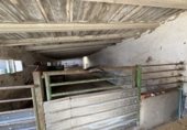 852m² warehouse industrial for sale in Calvarrasa de Arriba photo