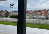 65m² commercial premises for rent in Grado, Calle Favila photo