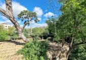 Cafeteria
en venda
amb 1000m² a Navas de San Juan, calle hernán cortés, 03550 foto