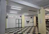 Local comercial en venta con 500m² en Oviedo, en la zona de Buenavista foto