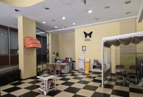 Foto 7