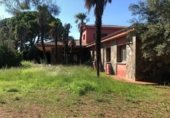 574m² restaurant pour vente à Vilallonga del Camp, Camí de Reus a Vilallonga del Camp photo