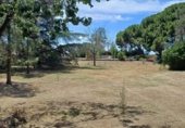 574m² restaurant pour vente à Vilallonga del Camp, Camí de Reus a Vilallonga del Camp photo
