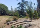 574m² restaurant pour vente à Vilallonga del Camp, Camí de Reus a Vilallonga del Camp photo