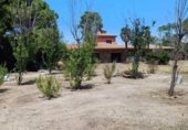 574m² restaurant pour vente à Vilallonga del Camp, Camí de Reus a Vilallonga del Camp photo