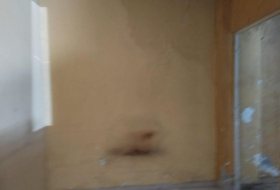 Foto 19