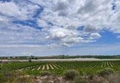 275m² locaux commerciaux pour vente à Los Montesinos, Partida El Pino photo