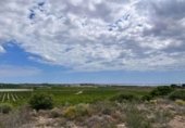 275m² locaux commerciaux pour vente à Los Montesinos, Partida El Pino photo