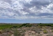 275m² locaux commerciaux pour vente à Los Montesinos, Partida El Pino photo