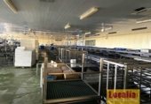 9713m² entrepôt industriel pour vente à San Cibrao das Viñas photo