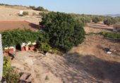 Nau Industrial
en traspàs
amb 600m² a El Burgo foto