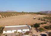 Nau Industrial
en traspàs
amb 600m² a El Burgo foto