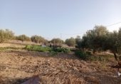 Nau Industrial
en traspàs
amb 600m² a El Burgo foto