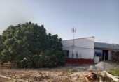 Nau Industrial
en traspàs
amb 600m² a El Burgo foto