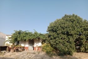 Foto 20