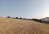 Nau Industrial
en traspàs
amb 600m² a El Burgo foto