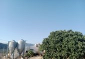 Nau Industrial
en traspàs
amb 600m² a El Burgo foto