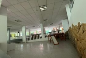Foto 15