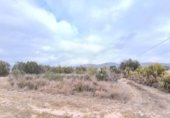 972m² locaux commerciaux pour vente à Aspe, Camino Hijuela del Pollo photo