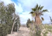 972m² locaux commerciaux pour vente à Aspe, Camino Hijuela del Pollo photo