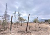 972m² locaux commerciaux pour vente à Aspe, Camino Hijuela del Pollo photo