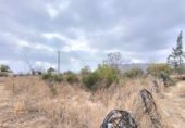 972m² locaux commerciaux pour vente à Aspe, Camino Hijuela del Pollo photo