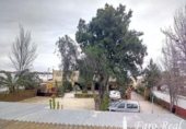 500m² bar for sale in Sanlúcar de Barrameda, Camino de la Jara photo