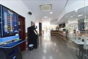 Foto 7