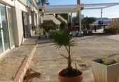 Restaurante en venta con 210m² en Alicante, Calle Sol Naciente foto