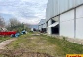 Local comercial Industrial en alquiler con 600m² en Gajano, CA-141 foto