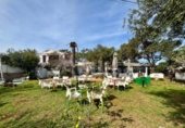 714m² restaurant pour vente à Mahón, Camí de Baix photo