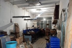 Foto 11